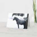 Search for colt christmas cards Equine