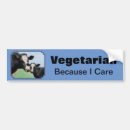 Search for cow bumper stickers Cattle