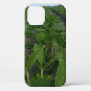Search for crop iphone cases Agriculture