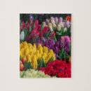 Search for tulip puzzles Pink