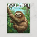 Search for sloth postcards Travel