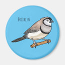 Search for finch magnets Bird