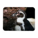 Search for penguin magnets Black