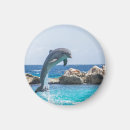 Search for saltwater magnets Animals