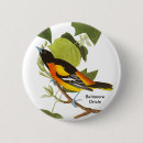 Search for baltimore badges Bird