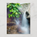 Search for healing postcards Nature