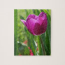 Search for tulip puzzles Rustic
