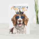 Search for springer spaniel birthday cards Spaniels