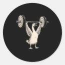 Search for funny gym stickers Muscle
