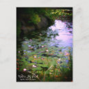 Search for pond postcards Flower