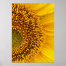 Search for brown flower art Summer