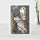 Search for audubon cards Owl
