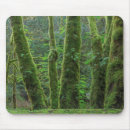Search for maple mouse mats Big leaf maple
