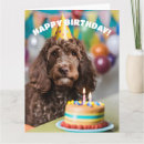 Search for cockapoo birthday cards Cute