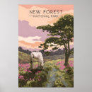 Search for new forest posters Vintage travel