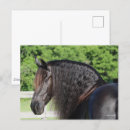 Search for friesians postcards Bob langrish