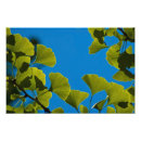 Search for ginko art Green