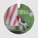 Search for woodpecker christmas tree decorations Birds and blooms