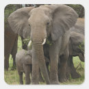 Search for serengeti stickers Serengeti national park