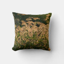 Search for marsh cushions Usa