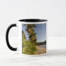 Search for idyll mugs Palm tree