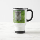 Search for kitten travel mugs Funny