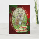 Search for chipmunk christmas cards Wildlife