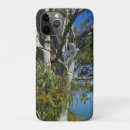 Search for koala bear iphone cases Australia
