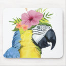 Search for haloes mouse mats Tropical