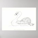 Search for duck designs posters Nature