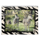 Search for zebra calendars Animal