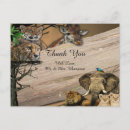 Search for lion king thank you cards Giraffe