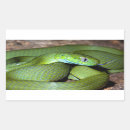 Search for green snake stickers Reptile