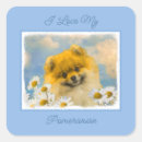 Search for pomeranian stickers Puppy