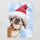 Search for big dogs invitations Humour