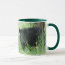 Search for wild hog mugs Wildlife