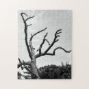 Search for black and white tree puzzles Branches