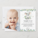 Search for koalas cards Whimsical
