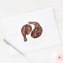 Search for bbq chicken stickers Barbecue