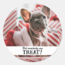 Search for dog treat stickers Funny