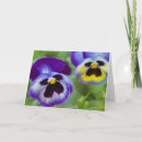 Search for pansy cards Blue flowers