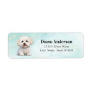 Search for bichon return address labels Cute