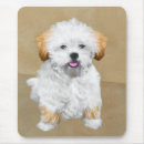 Search for apso mouse mats Lhasa