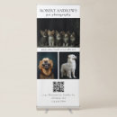 Search for pets photography White