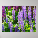 Search for violette posters Flowers