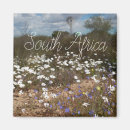 Search for winds magnets Flowers