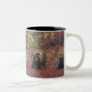 Search for grizzly bear mugs Denali national park