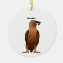 Search for vulture christmas tree decorations Bird