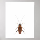 Search for insecte posters Bug