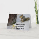 Search for squirrel cards Original